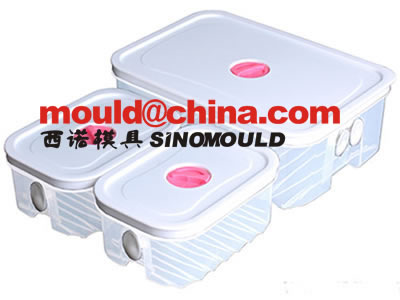 food container mould 7