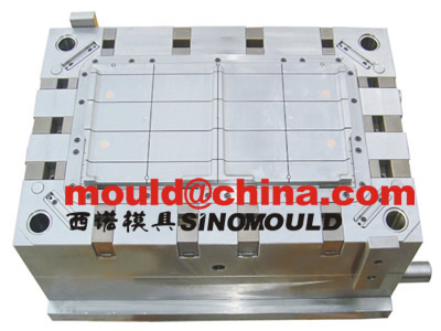 refrigerator mould 4